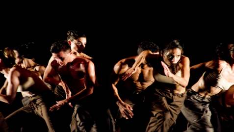 Danza Contemporánea de Cuba (CU)